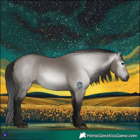 Horse Color:Gray Grullo 