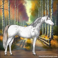 Horse Color:Liver Chestnut Sabino Splash Appaloosa  and Liver Chestnut Sabino Splash Appaloosa 