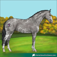Horse Color:Grullo Ice 