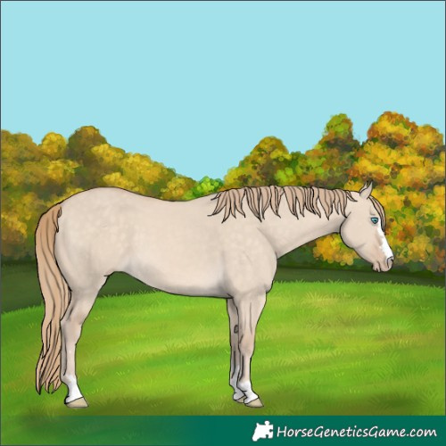 Horse Color:Perlino Dun 