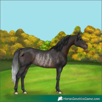 Horse Color:Brown Rabicano 
