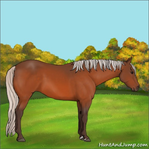 Horse Color:Silver Bay 