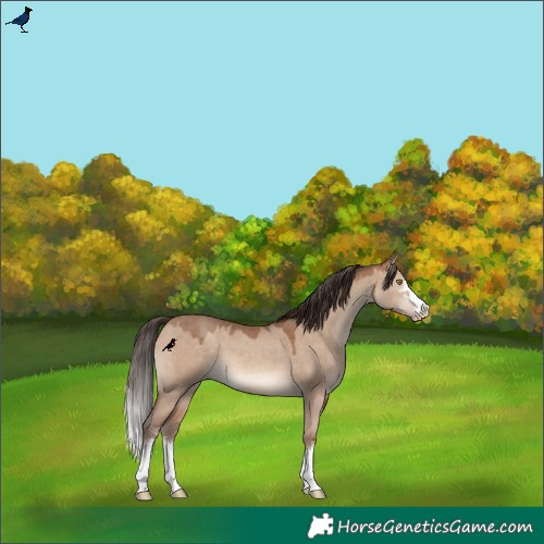 Horse Color:Sable Champagne Dun 