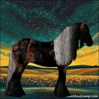 Horse Color:Void White Spotted Silver Bay Appaloosa 