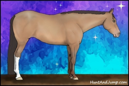 Horse Color:Amber Champagne 