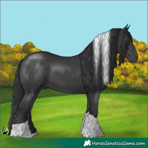 Horse Color:Black Tobiano 