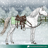 Horse Color:Liver Chestnut Sabino 