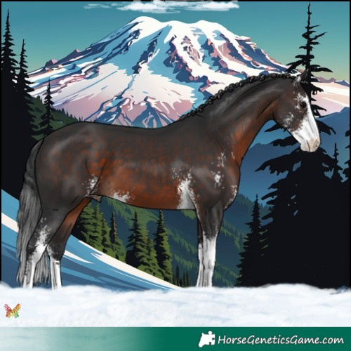 Horse Color:Brown Sabino 