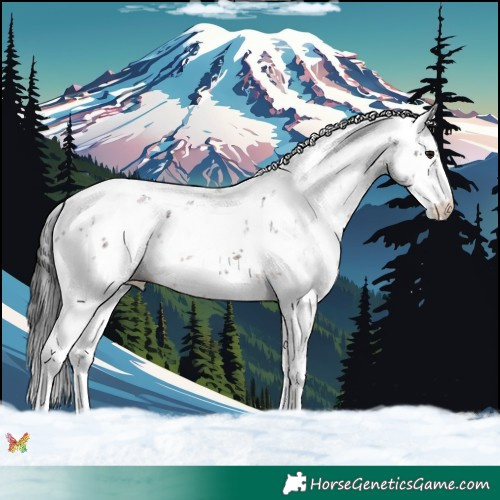 Horse Color:Brown Sabino 