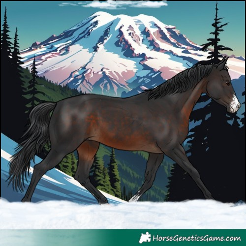 Horse Color:Brown Sabino