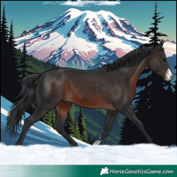 Horse Color:Brown Sabino 