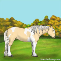 Horse Color:Silver Buckskin Dun Tobiano