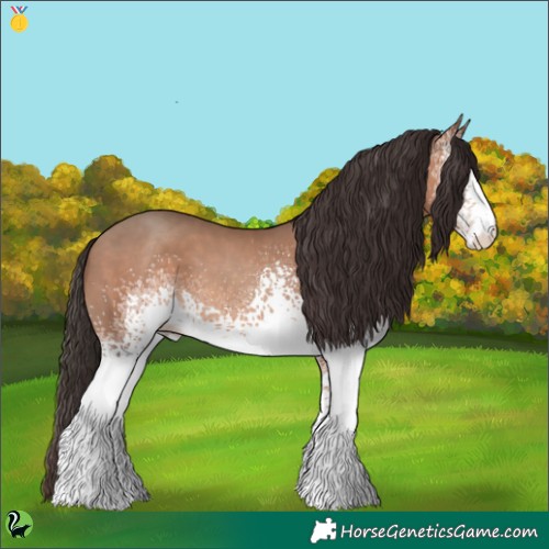 Horse Color:White Spotted Sable Champagne 