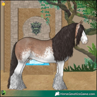Horse Color:White Spotted Sable Champagne 