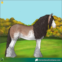 Horse Color:White Spotted Sable Champagne 