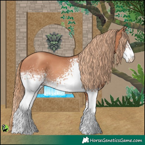 Horse Color:White Spotted Gold Champagne 