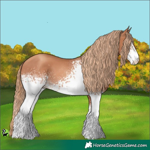 Horse Color:White Spotted Gold Champagne 