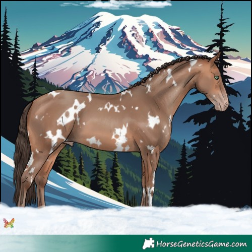 Horse Color:White Spotted Amber Champagne 