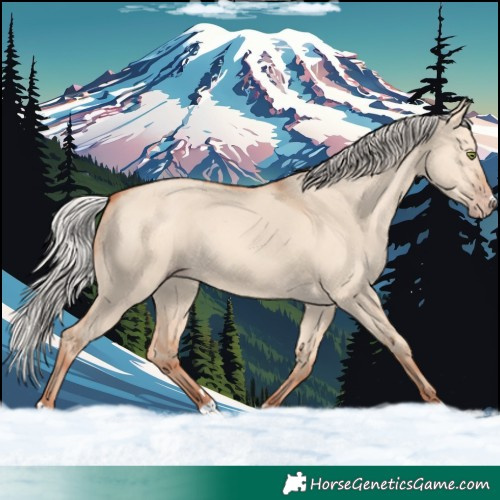 Horse Color:Silver Amber Champagne Dun 