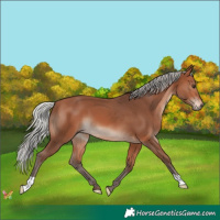 Horse Color:Silver Bay Mushroom 