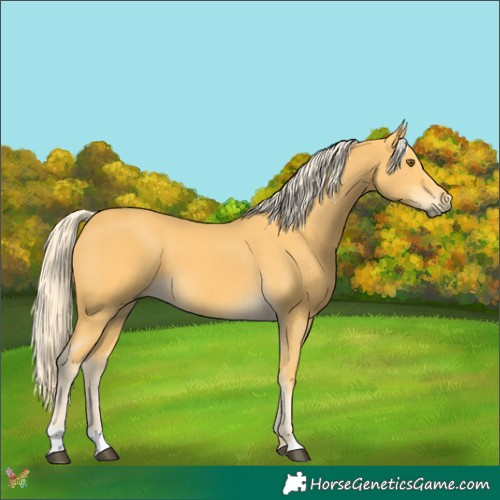 Horse Color:Palomino Mushroom