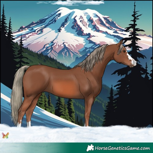 Horse Color:Chestnut Mushroom 