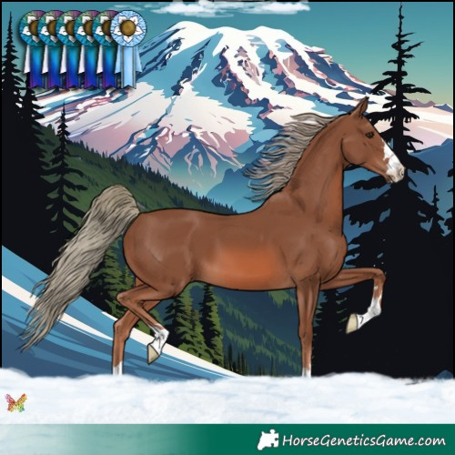 Horse Color:Chestnut Mushroom 