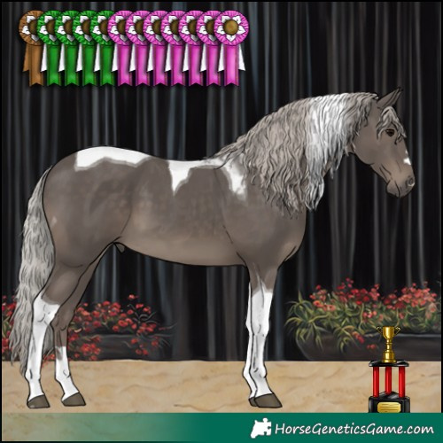 Horse Color:Silver Black Tobiano 
