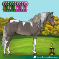 Horse Color:Silver Black Tobiano 