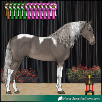 Horse Color:Silver Black Tobiano 