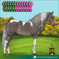 Horse Color:Silver Black Tobiano 