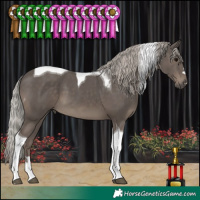 Horse Color:Silver Black Tobiano 