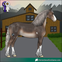 Horse Color:Silver Black 