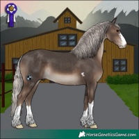 Horse Color:Silver Black 