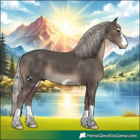 Horse Color:Silver Black 