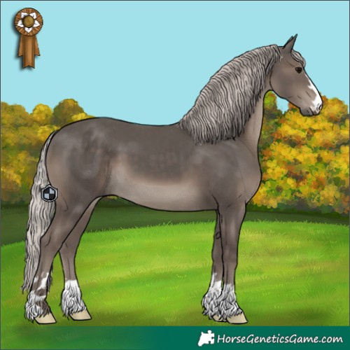 Horse Color:Silver Black 