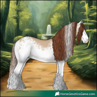 Horse Color:White Spotted Red Dun Rabicano 