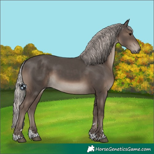 Horse Color:Silver Black 