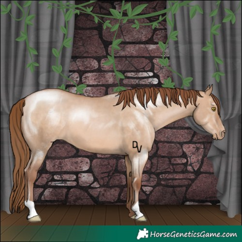Horse Color:Brown Pearl Dun 