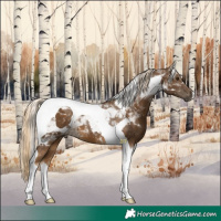 Horse Color:Chocolate Palomino Tobiano 