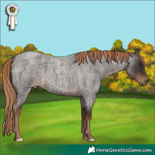 Horse Color:Liver Red Roan 