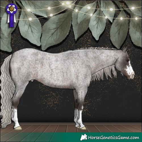 Horse Color:Silver Brown Roan 