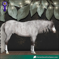 Horse Color:Silver Brown Roan 