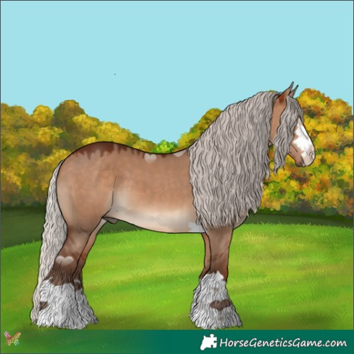 Horse Color:Silver Bay Dun 