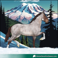 Horse Color:Chocolate Brown Roan 