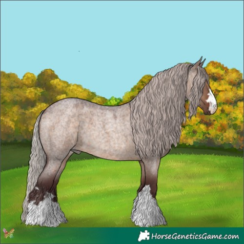 Horse Color:Chocolate Silver Brown Roan Dun 