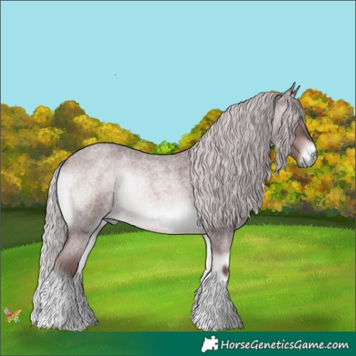 Horse Color:Platinum Chocolate Silver Brown Roan Onyx 