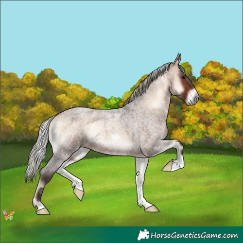 Horse Color:Silver Brown Roan Onyx 