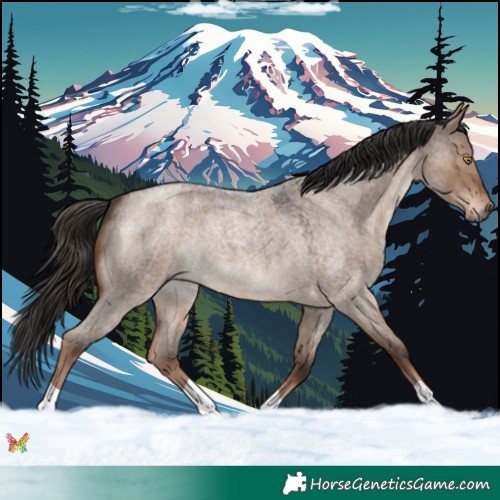 Horse Color:Liver Red Dun Roan 