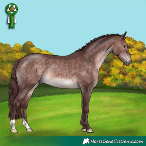 Horse Color:Platinum Chocolate Brown 